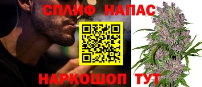 индика Кунгур
