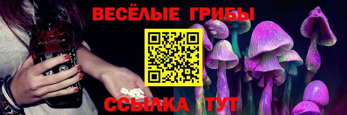 Галлюциногенные грибы Psilocybe  Вход с VPN  Великий Новгород 