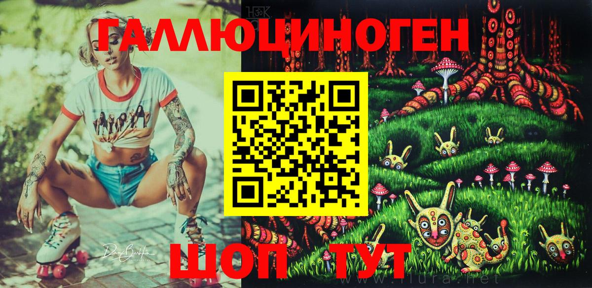 Галлюциногенные грибы Psilocybe Великий Новгород